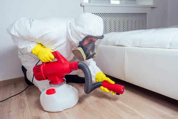 Best Termite Control Services  in Clarcona, FL