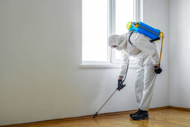 Best Residential Pest Control  in Clarcona, FL
